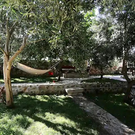 Luxury Robinson With Pool & Jacuzzi Ždrelac